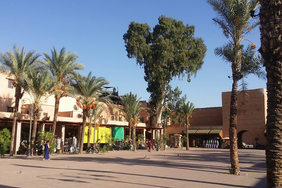 Quartiers de Marrakech Gueliz Medina Palmeraie