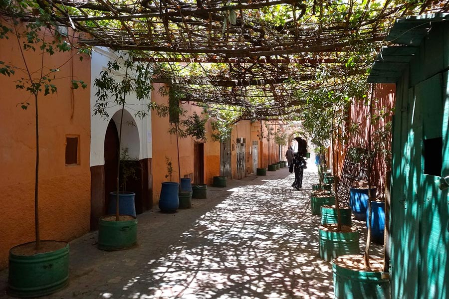 Quartiers de Marrakech Gueliz Medina Palmeraie