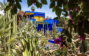 Maroc-Jardin-Majorelle Marrakech