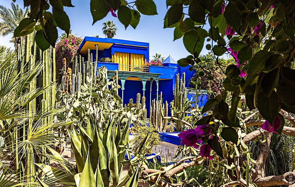 Maroc-Jardin-Majorelle Marrakech