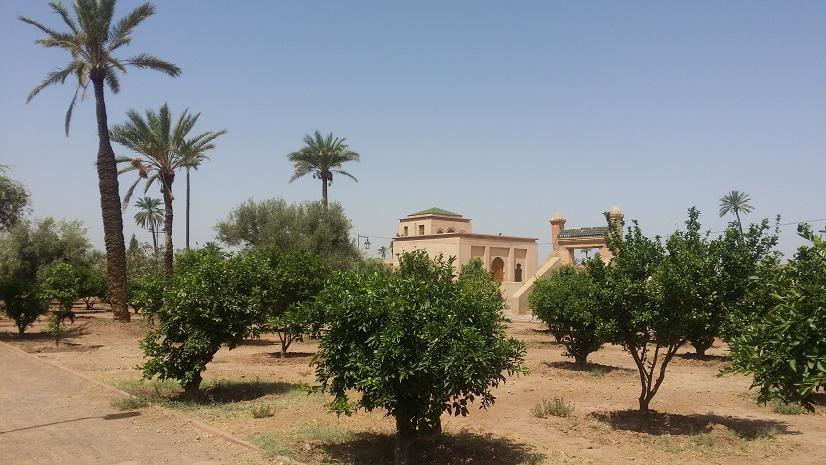 gardens of marrakech