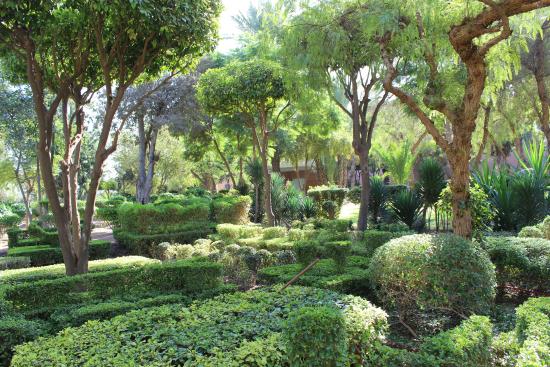 gardens of marrakech