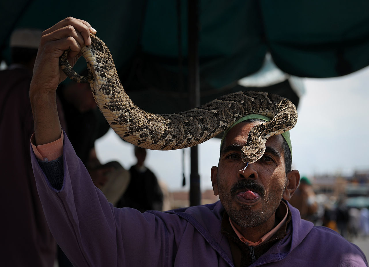 Charmeur de Serpent . Place Jemaa El Fna Marrakech