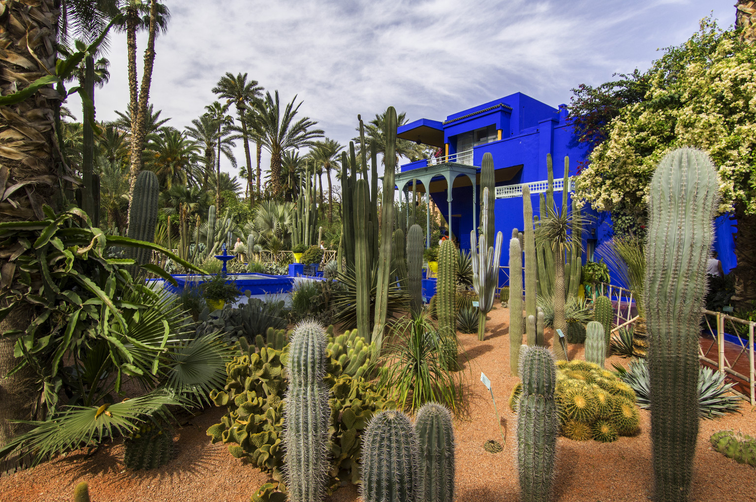 Jardin Majorelle - atelier villa cubiste de l'artiste Peintre jacques Majorelle