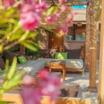 Planted Shaded Terrace Rooftop Marrakech Riad Medina Al Ksar