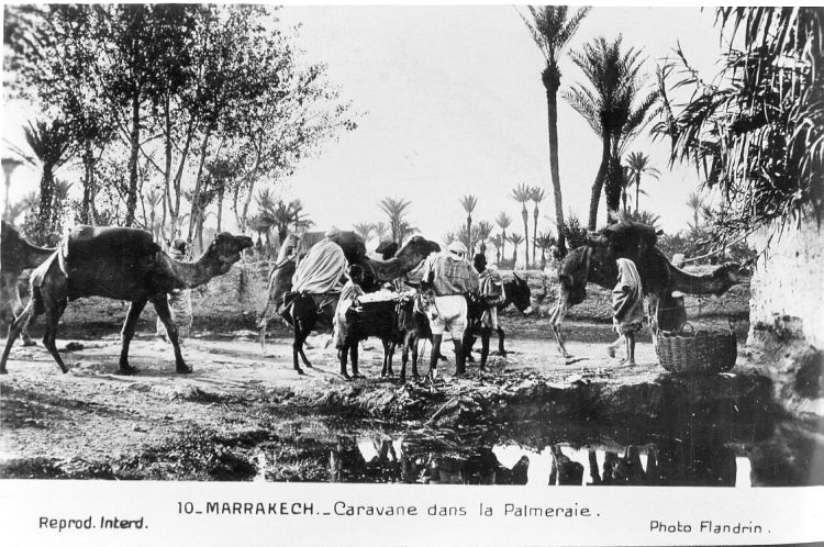 caravane sahara marrakech palmeraie