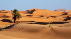 Morocco. Sand dunes of Sahara desert from marrakech