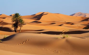 Morocco. Sand dunes of Sahara desert from marrakech