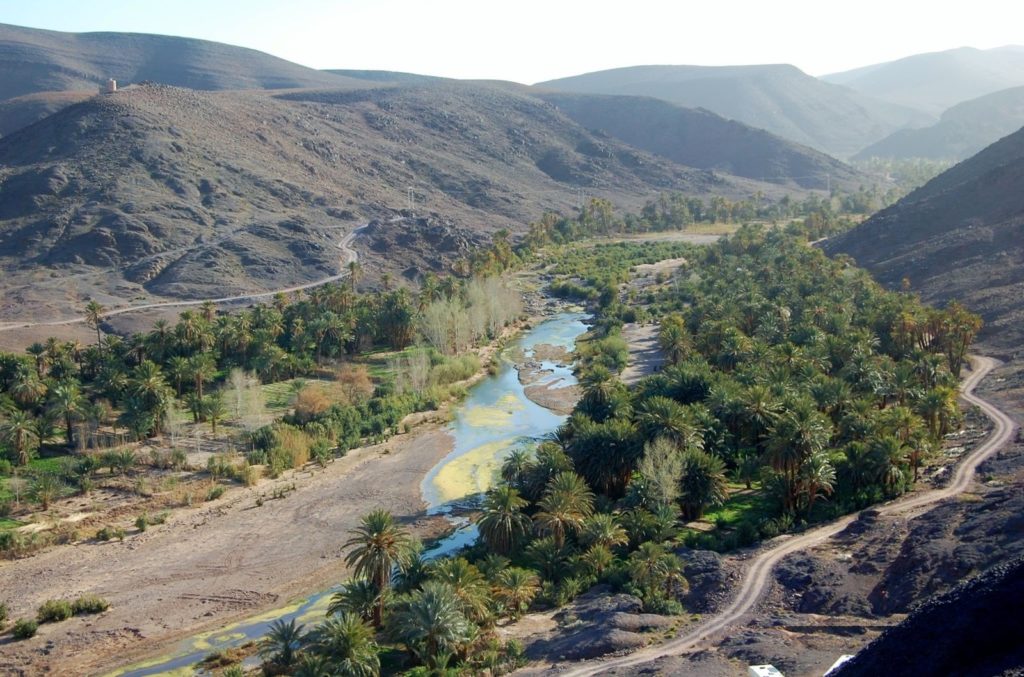 Oasis-de-Fint-Ouarzazate-Maroc